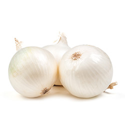 Cebolla