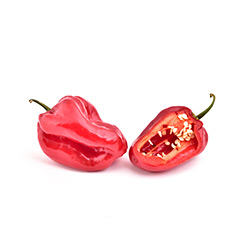 Ají habanero